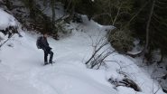 nel bosco sotto al Ciavanis al ritorno