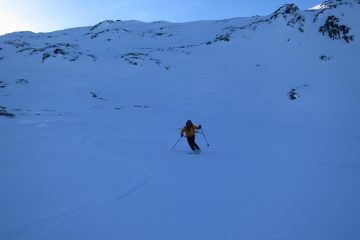 Farina  