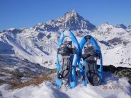 il Viso ci tiene compagnia
