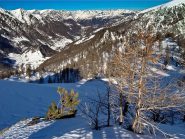 Il bel bosco che porta a Bout du Col