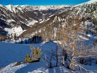 Il bel bosco che porta a Bout du Col
