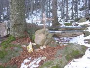 caratteristico angolo nel bosco