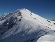 bella cresta