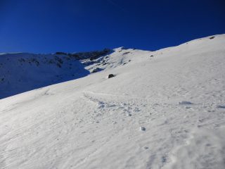 Già un pò trasformata
