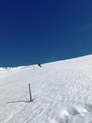 GB tra i paletti