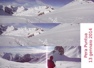 Collage