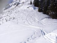 devastazione dei ciaspolai : fate fila indiana !