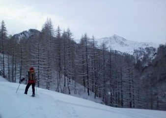 Gran Guglia salendo alle Miande alberge