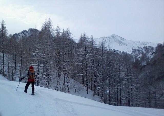 Gran Guglia salendo alle Miande alberge