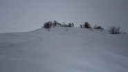 Curve in podwer!!!