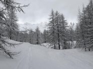 Vallone Gelassa