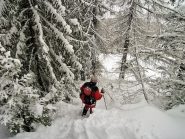 Nel fitto bosco verso Chateau