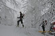  ghiglio a 2140 sopra l'arrivo dello skilift