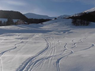 02 - in basso si scia bene nonostante si stia già formando un pò di crosta