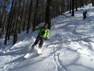 nel bosco parte bassa