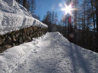 La stradina/itinerario verde
