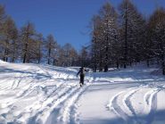 ...La giornata promette bene..