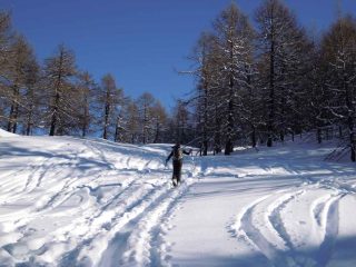 ...La giornata promette bene..