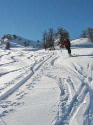 valloncello farinoso
