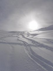 01 - farina fantastica