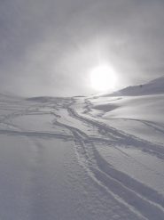 01 - farina fantastica