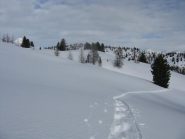 paesaggi incontaminati