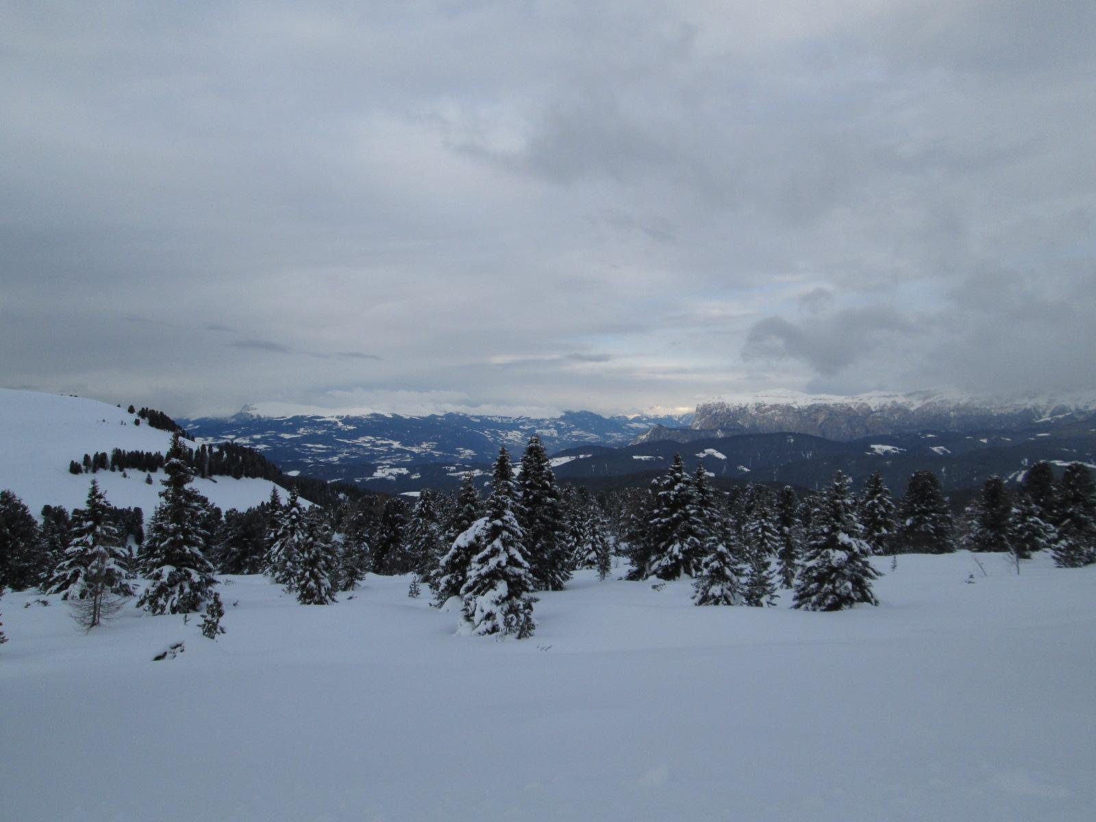 nei pressi di Passo Oclini