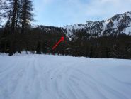 Intaglio nel bosco dove si trovano i tralicci del alta tensione da tenere come riferimento per raggiungere le Grange Tenou
