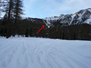 Intaglio nel bosco dove si trovano i tralicci del alta tensione da tenere come riferimento per raggiungere le Grange Tenou