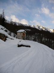 Lungo la strada forestale verso le Grange Gioanotta