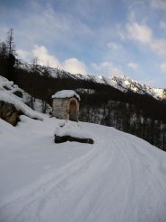 Lungo la strada forestale verso le Grange Gioanotta