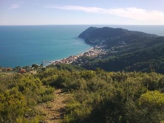 capo mele