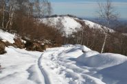la strada è più o meno tutta così