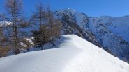 Cima Tavorna