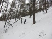 Bella neve un pò ramata