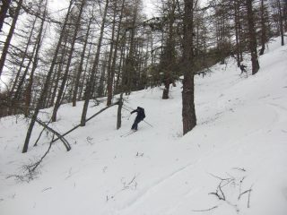 Bella neve un pò ramata