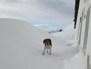 Flick in attesa sul da farsi!