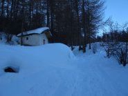 Salendo nel bosco