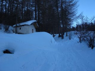 Salendo nel bosco