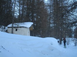 nel bosco
