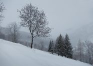 Prima della frazione Solomiac