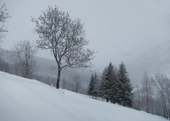 Prima della frazione Solomiac