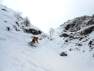 Matti e la farina della stellina superstite