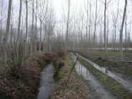 Tra rivoli e pioppi