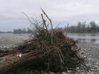 Sull'isola