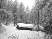 Casetta in Canada...