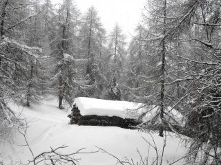 Casetta in Canada...