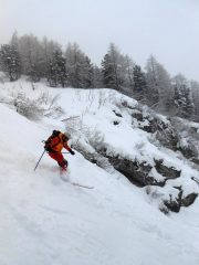Tenou selvaggio