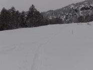 07 - nelle ampie praterie