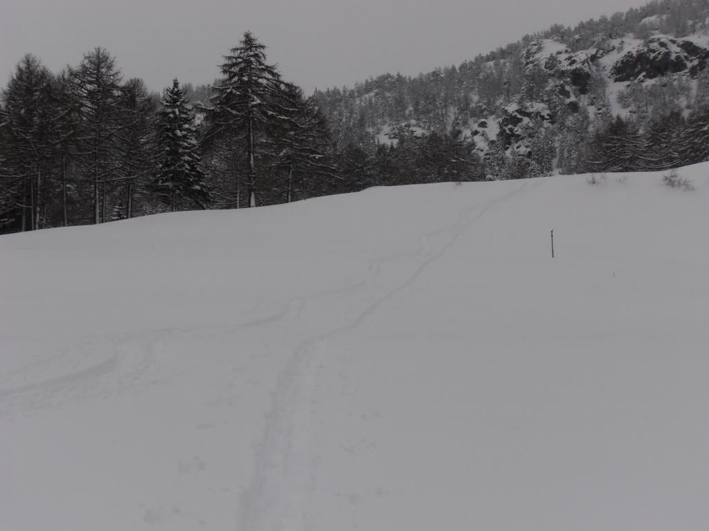 07 - nelle ampie praterie